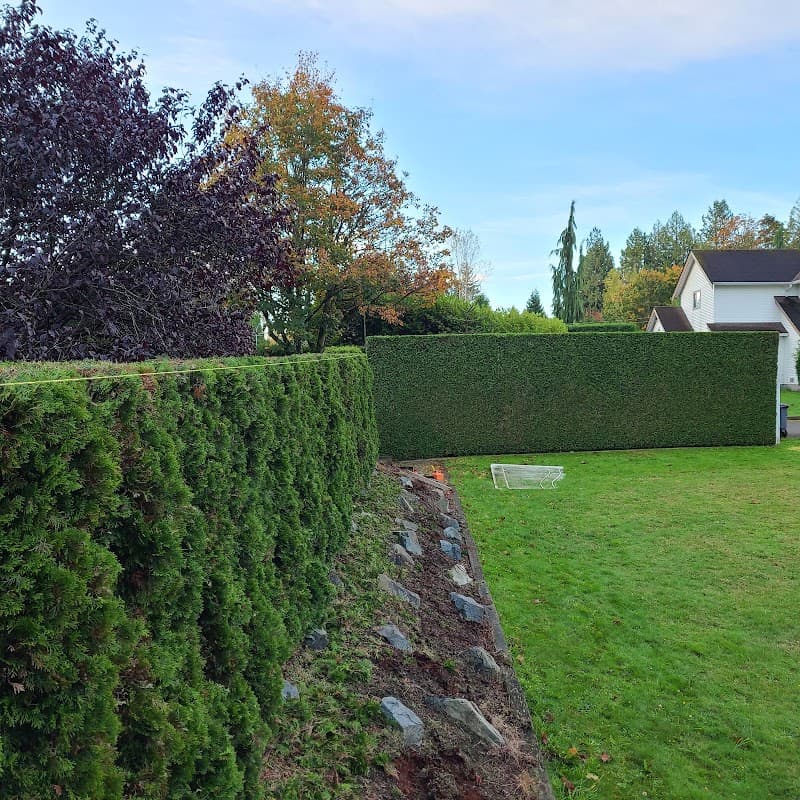 Mowgli Tree Care project photo