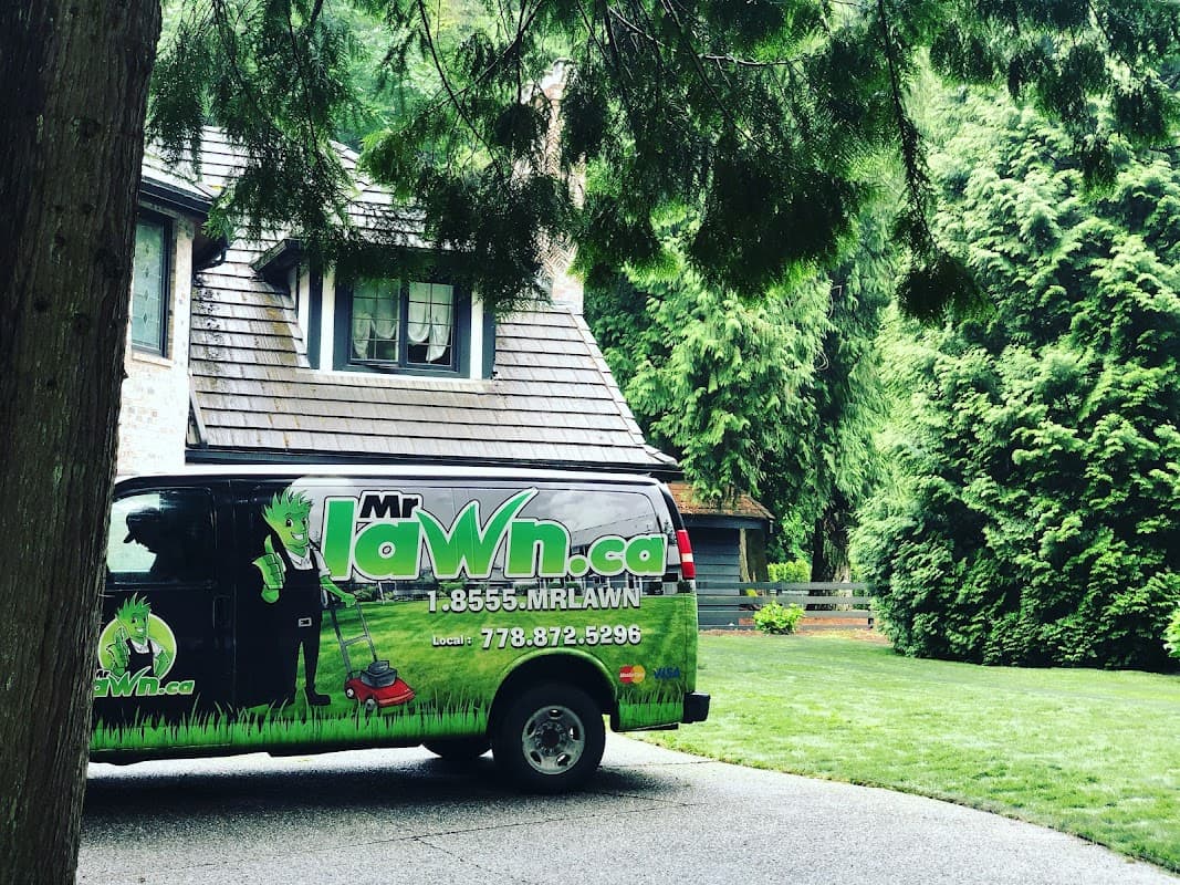 Mr. Lawn