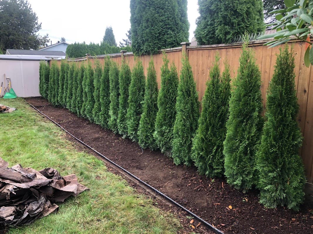 My Fraser green landscaping ltd project photo