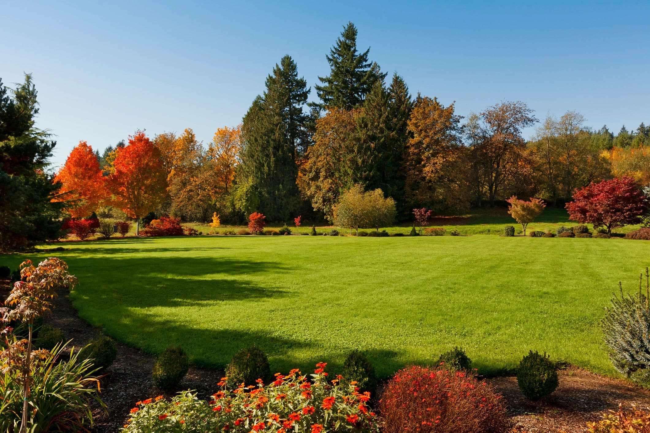 NuGreen Lawn and Garden Services Ltd photo 3