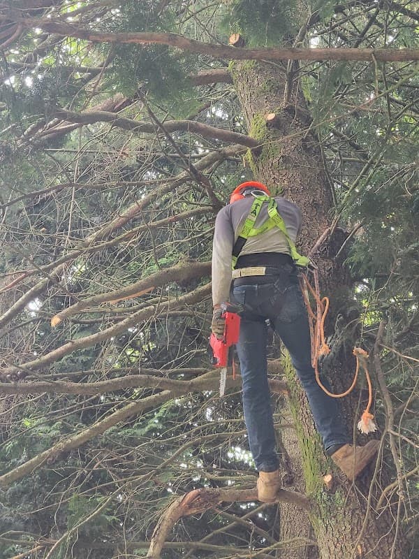 NZ Landscaping