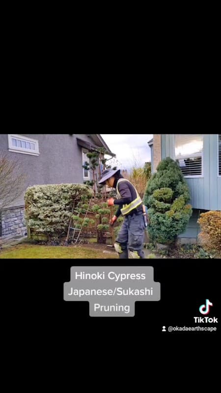 Okada Earthscape photo 3