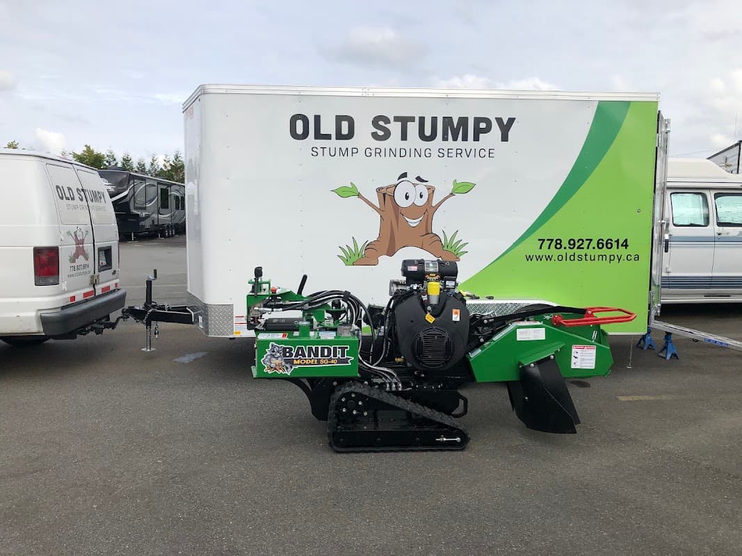 Old Stumpy, Stump Removal Service project photo