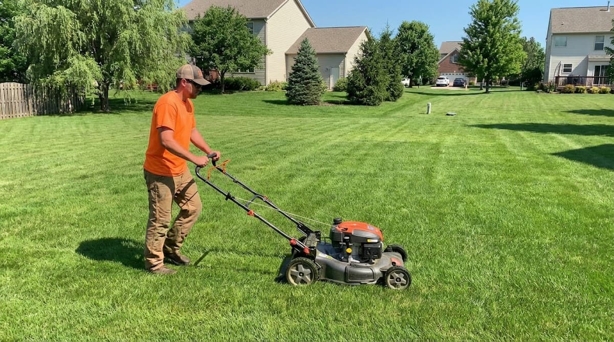 Orange bear lawn care