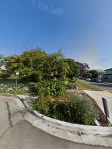 Organic Matters Landscaping LTD photo 4