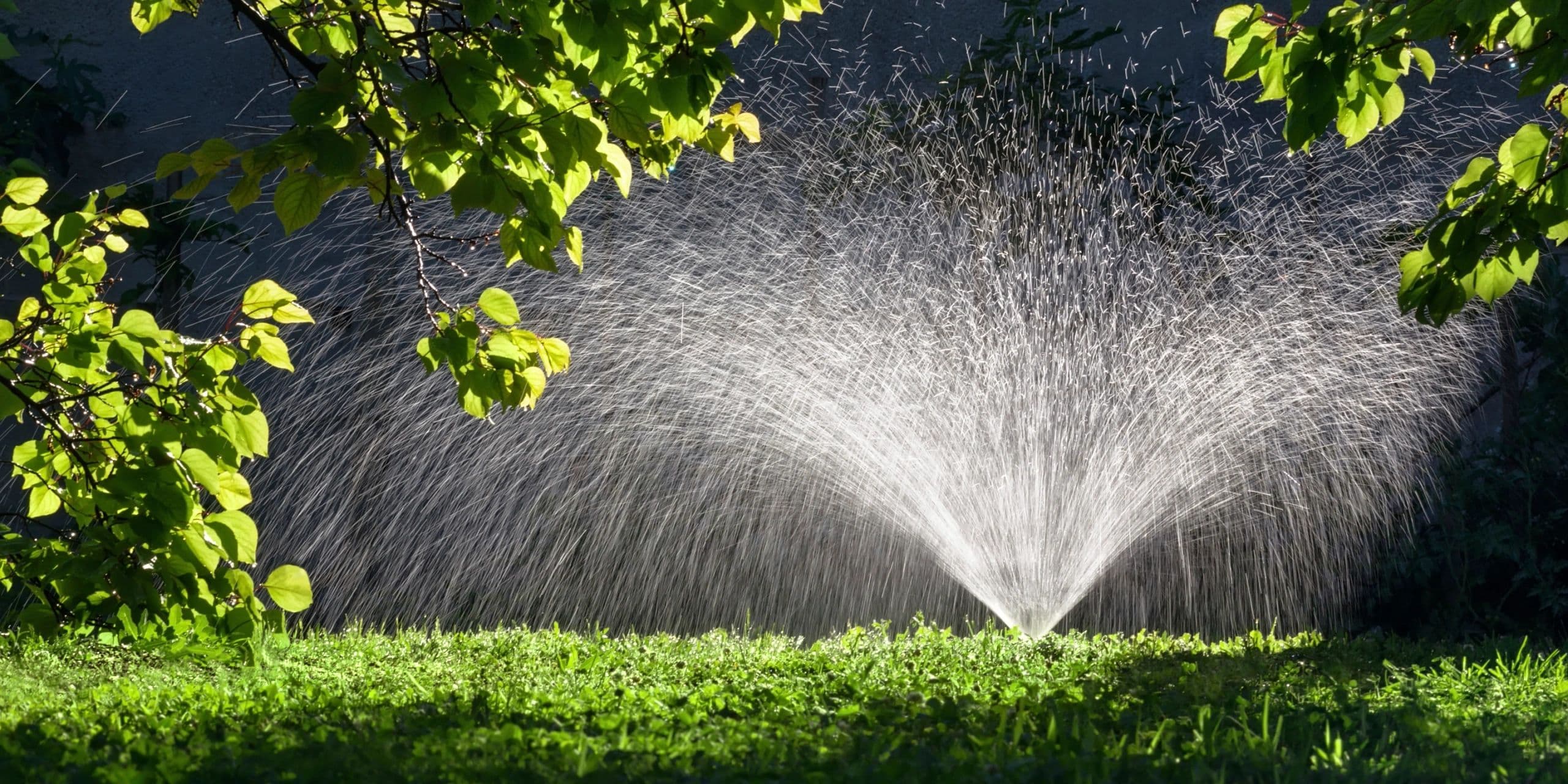 Pacific Coast Irrigation & Landscape Lighting Limited photo 4