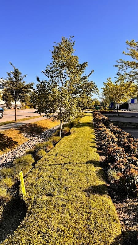 Pacific Lawn Care