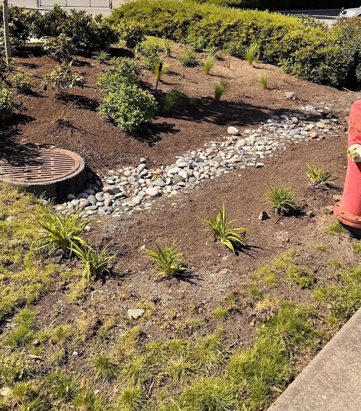 Pacific Lawn Care photo 2
