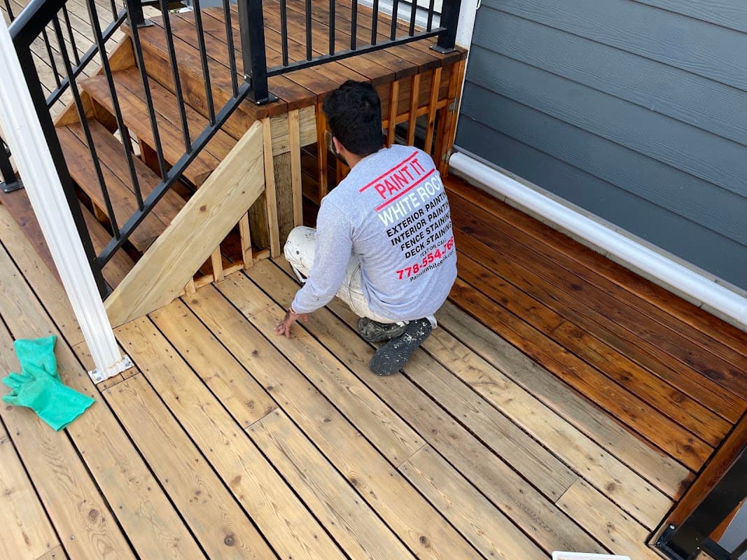 Paint It White Rock project photo