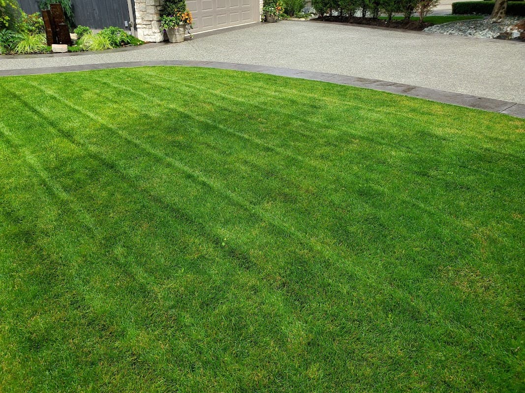 Paragon Lawn and Landscape Ltd photo 2