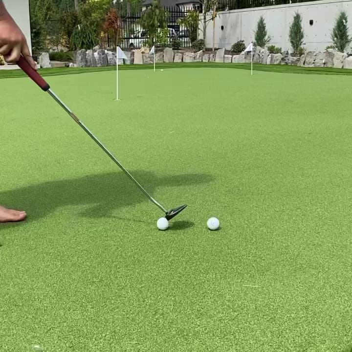 Perfect Turf Vancouver photo 2