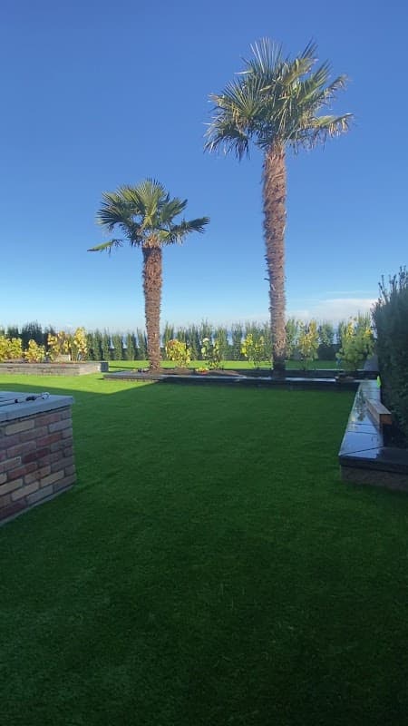 Perfect Turf Vancouver photo 3