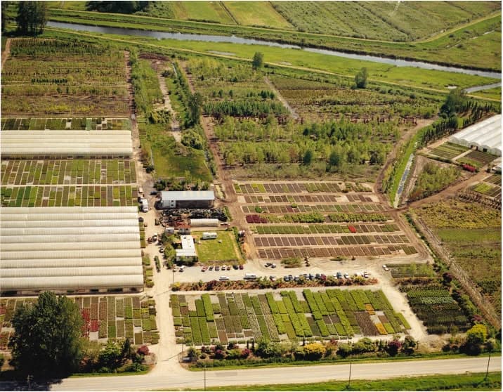 Piroche Plants Inc project photo