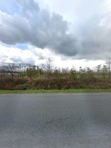 Piroche Plants Inc photo 4