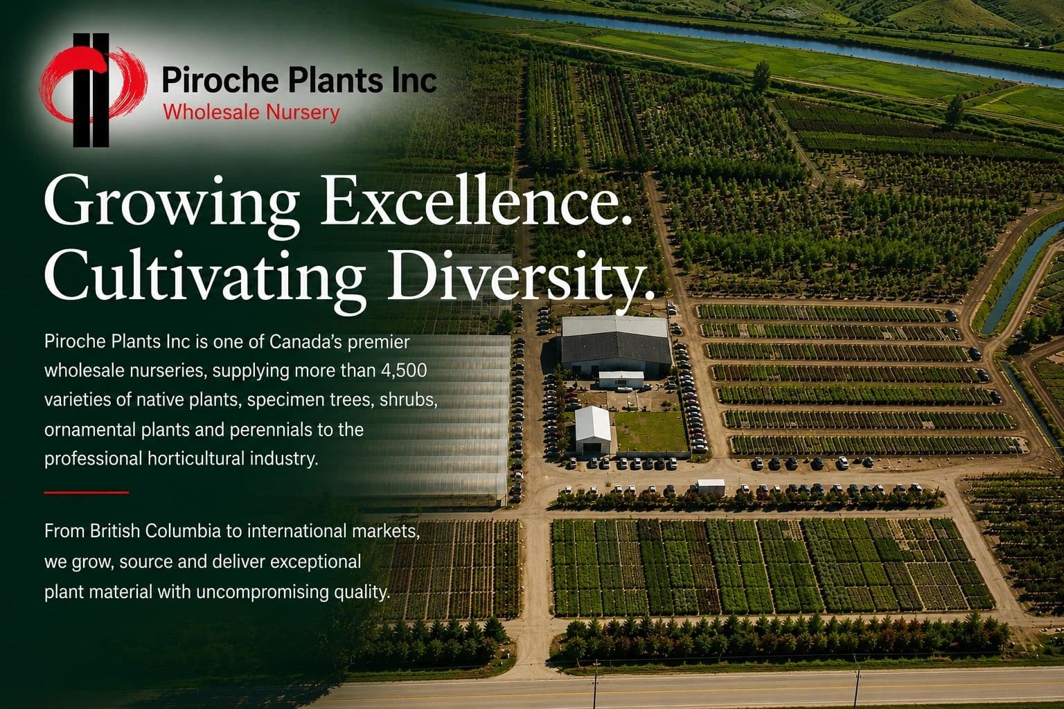 Piroche Plants Inc photo 5