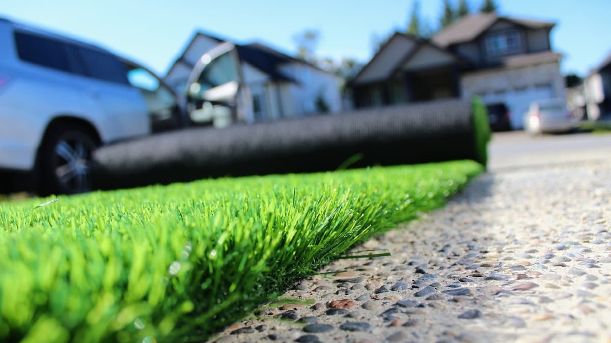 Premium Grass Blades project photo