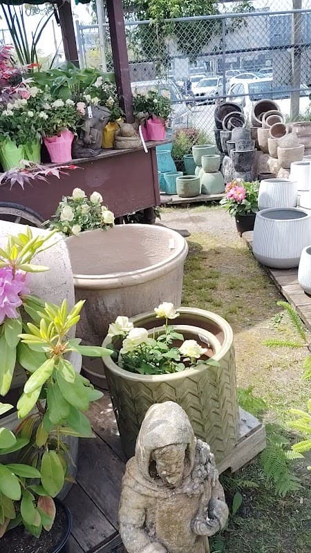Prickly Pear Garden Centre photo 6