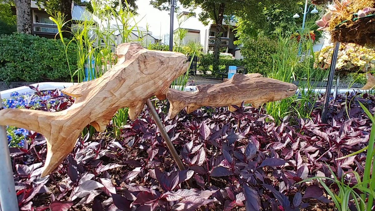 Quayside Terrace photo 5