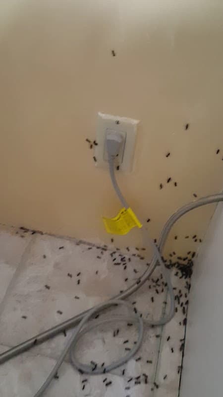 Richmond Advance Pest Control photo 2