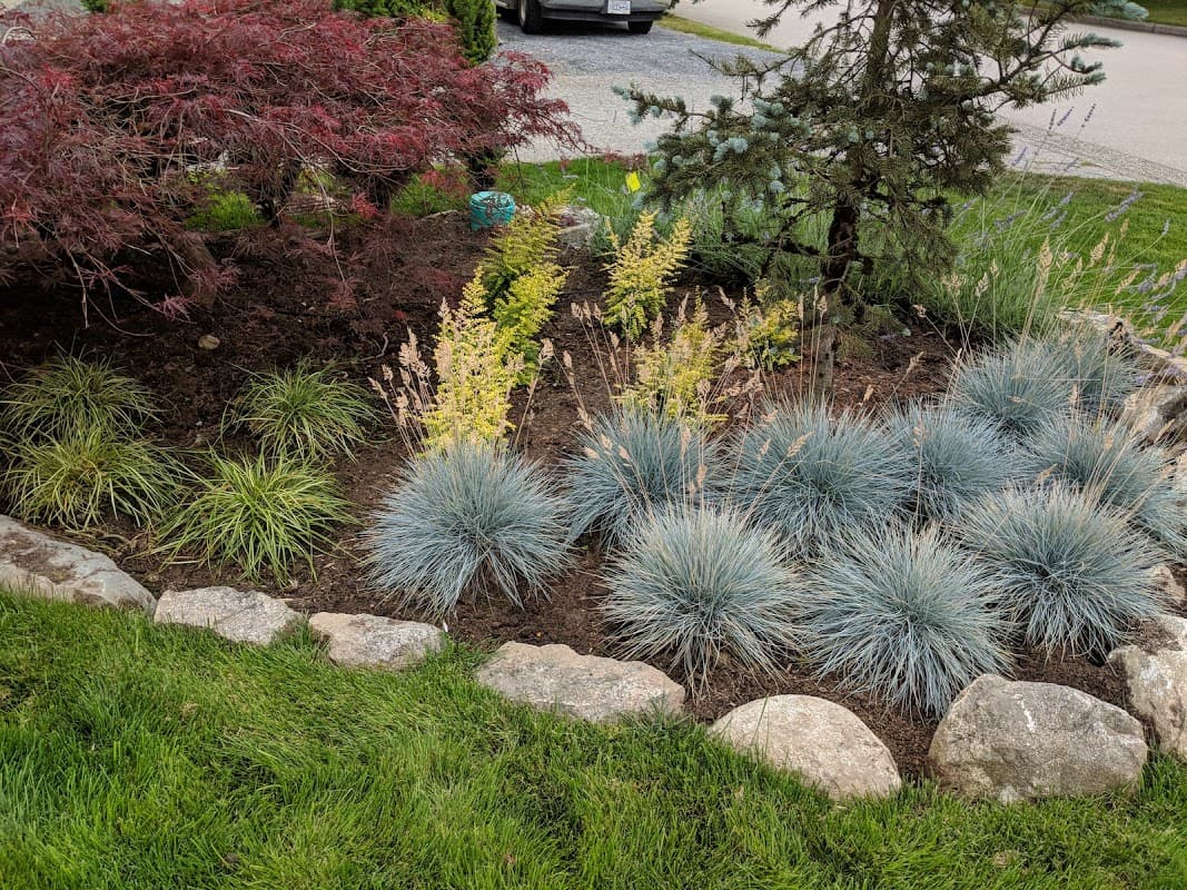 Richmond Landscaping & Design photo 3