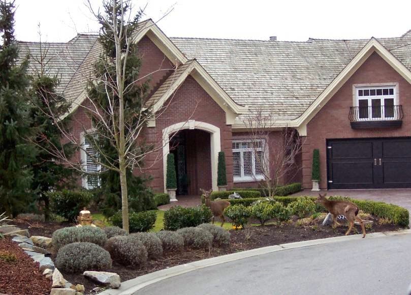 Rocky Mountain Landscaping photo 2