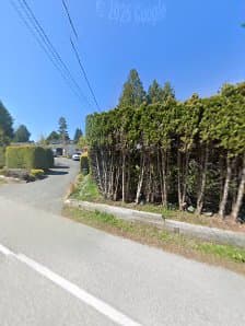 Royal Wood Tree Service photo 3