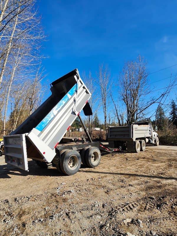 Scott's Mini Excavation photo 6
