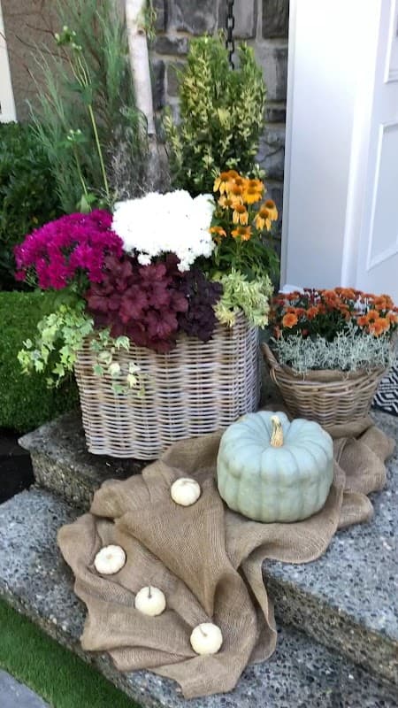 Sea Breeze Landscaping Ltd photo 3