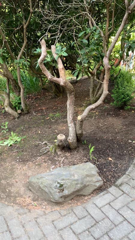 Sendall Gardens photo 3