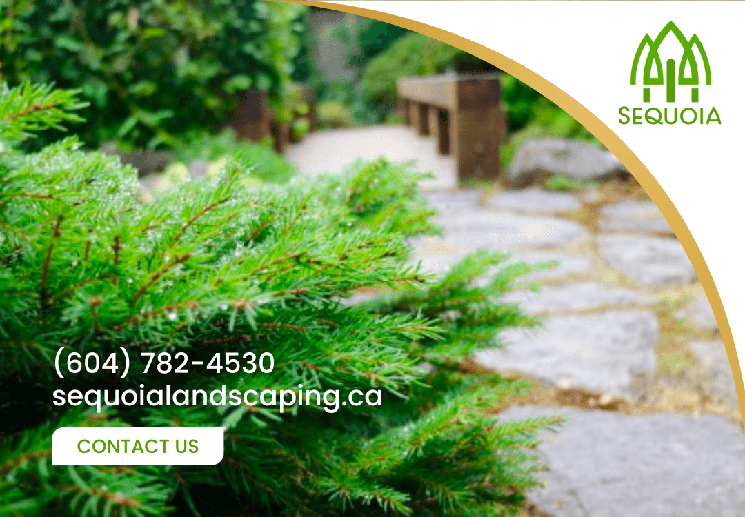 Sequoia Landscape Services