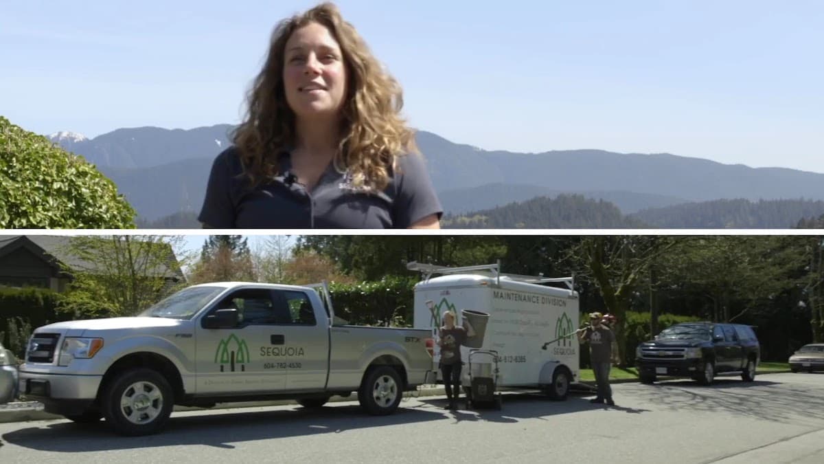 Sequoia Landscape Services photo 4