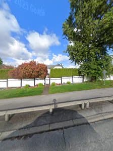 Shawn's Lawns photo 2