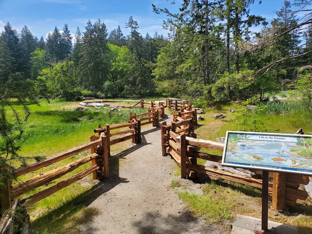 South Fraser Custom Landscapes