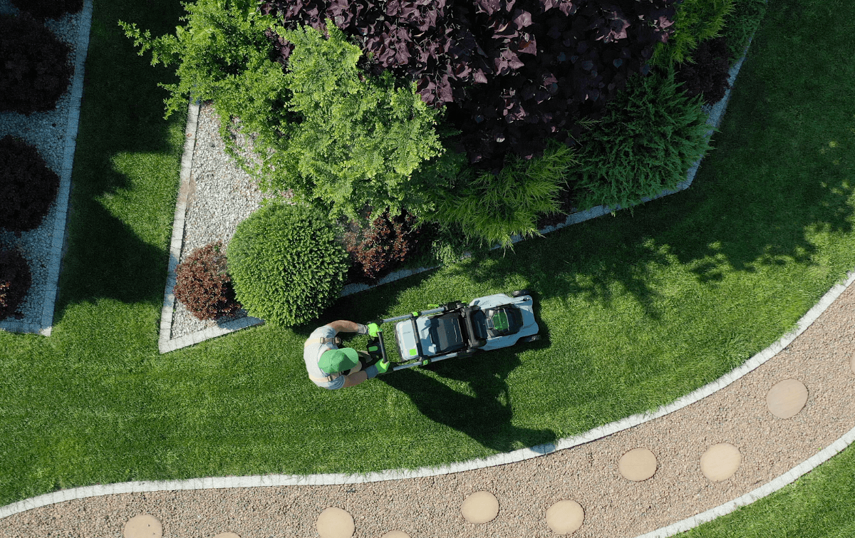 South Surrey Mowing
