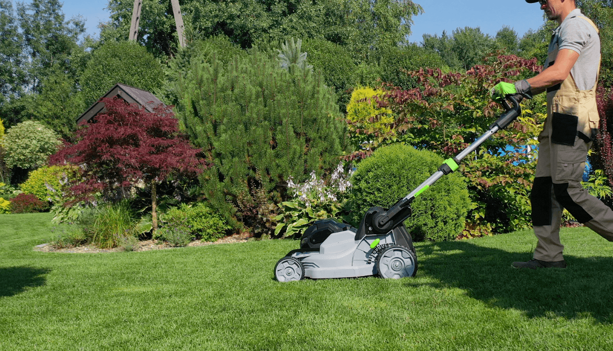 South Surrey Mowing photo 2