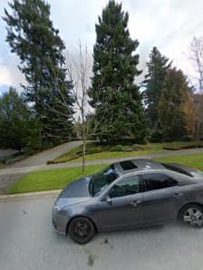 South Surrey Mowing photo 3