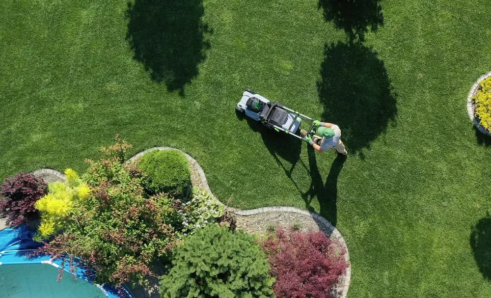 South Surrey Mowing photo 4