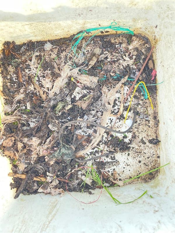 Southwest Garden Supplies photo 2