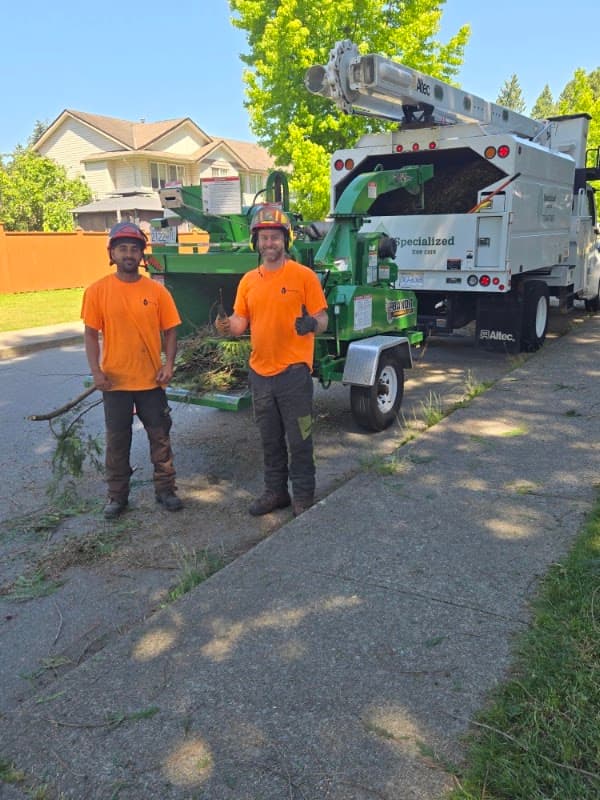 Specialized Tree Care project photo