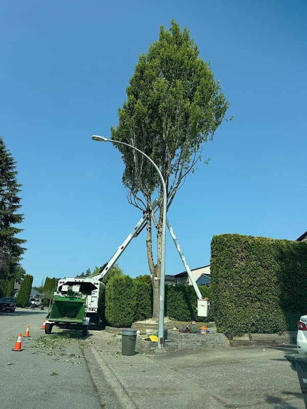 Specialized Tree Care photo 2