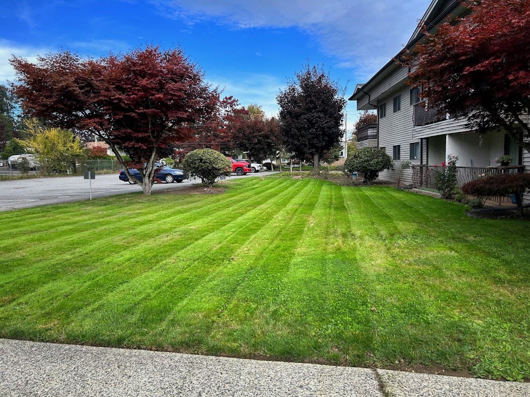Spirit Landscaping photo 2