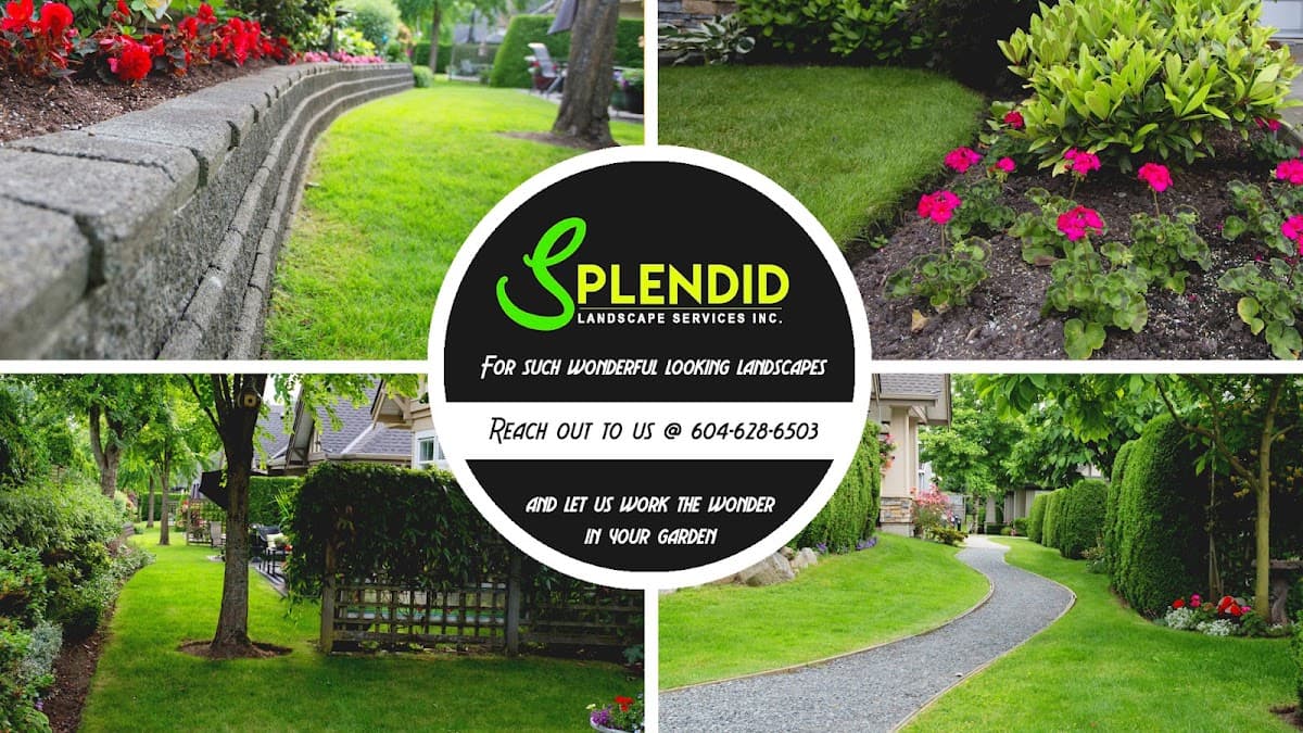 Splendid Landscaping Services