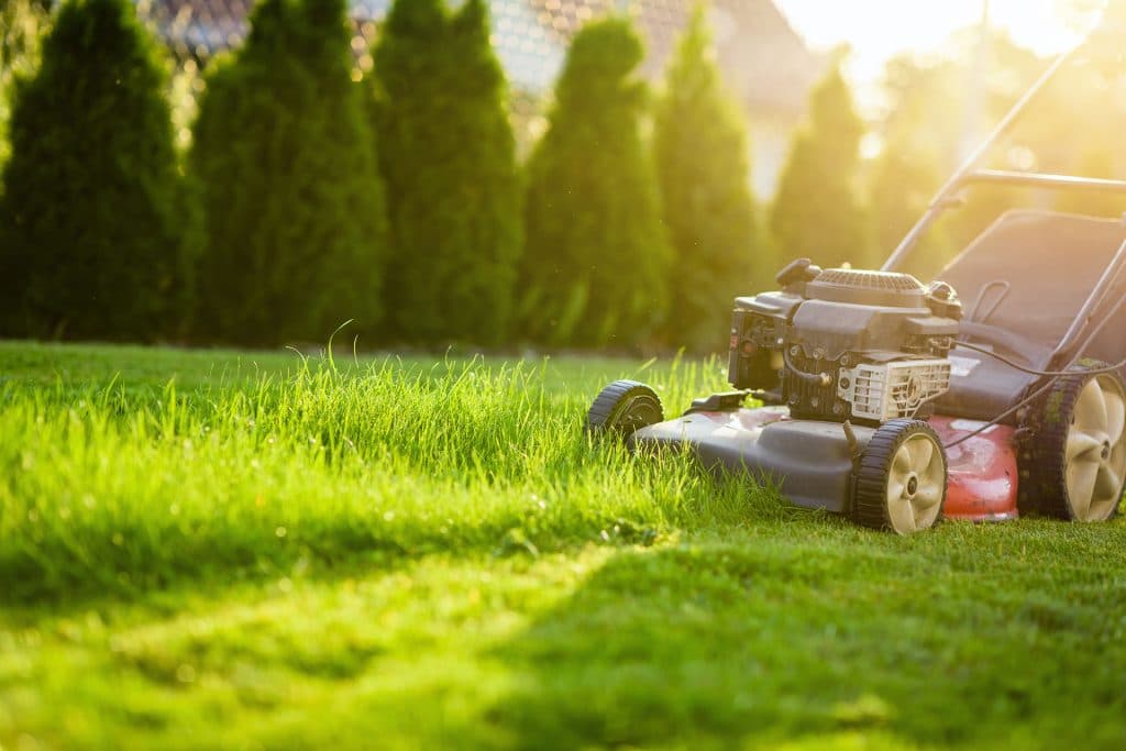 Square Lawn & Garden Care photo 3