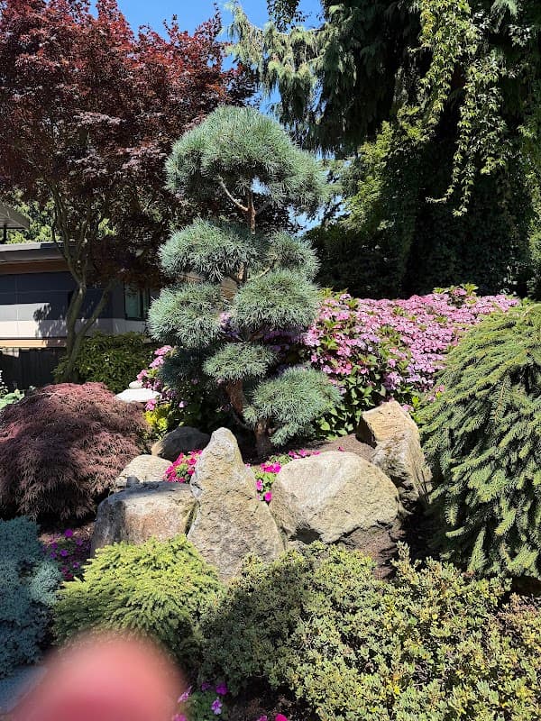 Strongbacks Landscaping