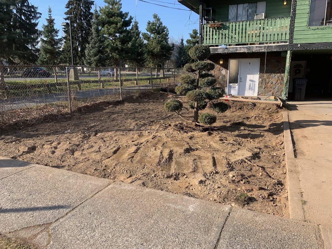 Stump Grinding BC photo 2