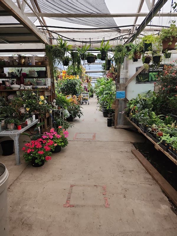 Sunrise Garden Centre photo 2