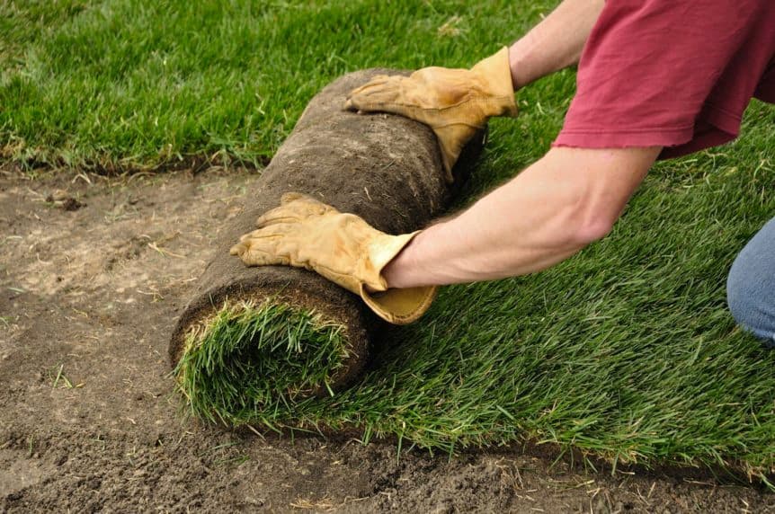 Super Lawns