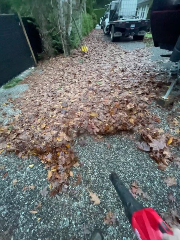 Taylor Made Landscaping photo 3