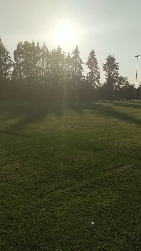 Telosky Stadium photo 3