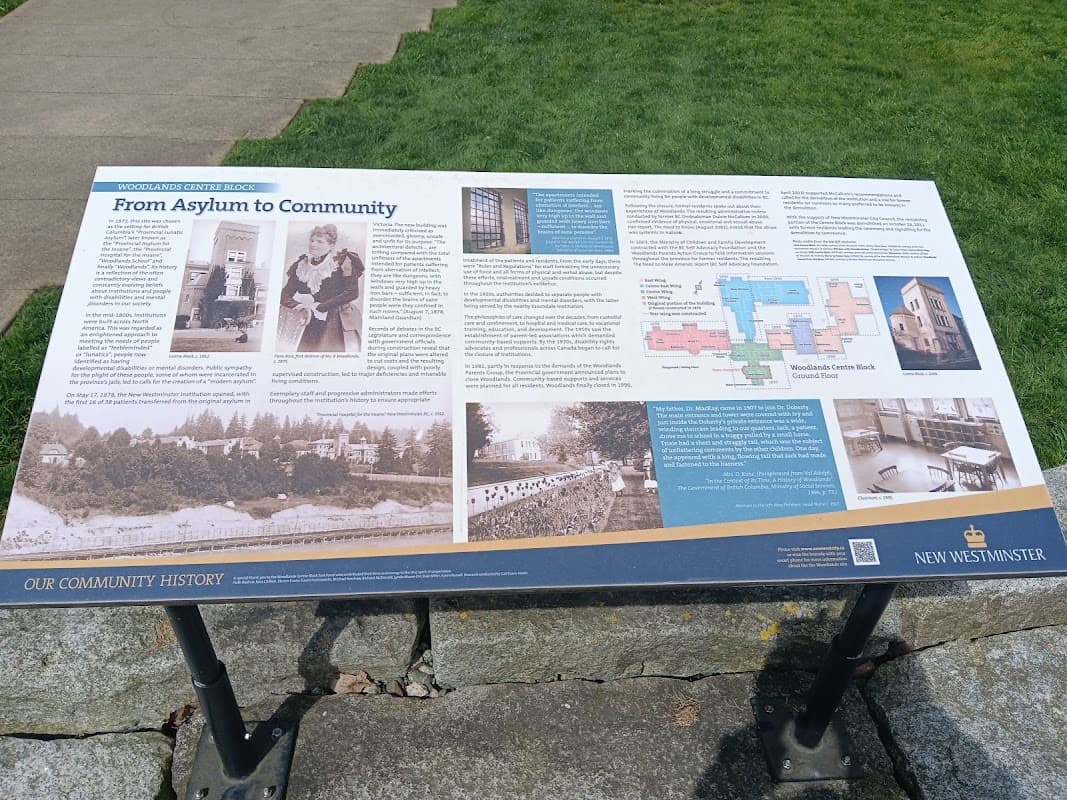 The Great Lawn project photo